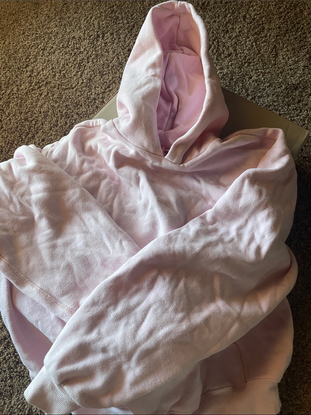 SKIMS Light Pink Cozy Hooded Sweatshirt